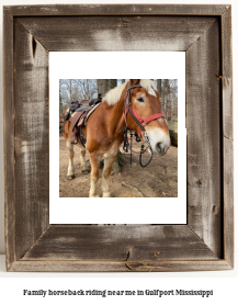 family horseback riding near me in Gulfport, Mississippi